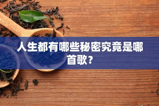 人生都有哪些秘密究竟是哪首歌？
