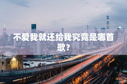 不爱我就还给我究竟是哪首歌？