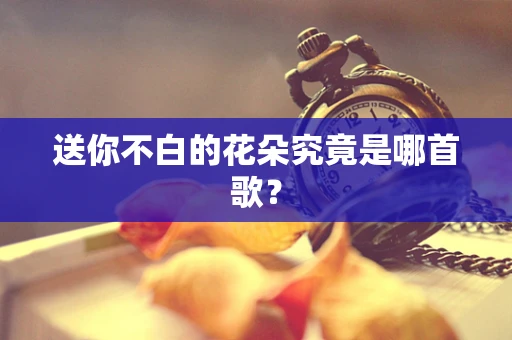 送你不白的花朵究竟是哪首歌？