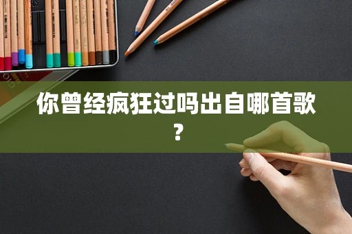 你曾经疯狂过吗出自哪首歌？