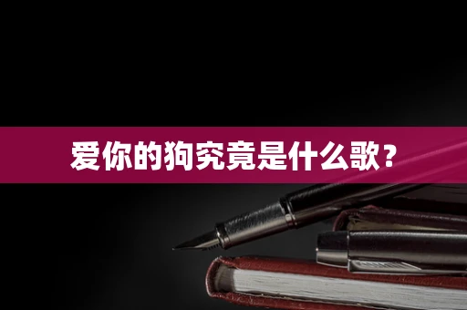爱你的狗究竟是什么歌？