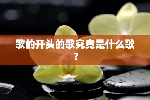 歌的开头的歌究竟是什么歌？