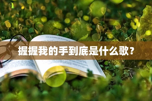 握握我的手到底是什么歌？