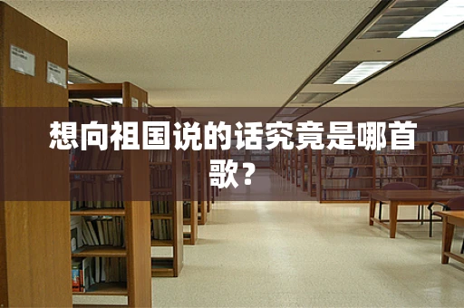 想向祖国说的话究竟是哪首歌？