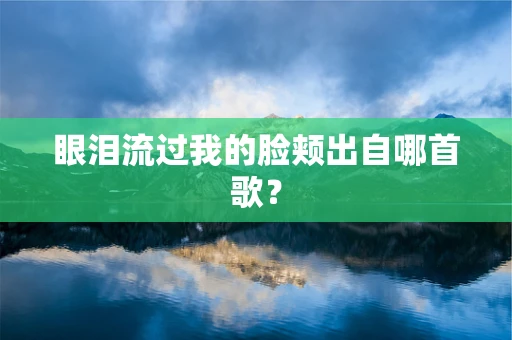 眼泪流过我的脸颊出自哪首歌？