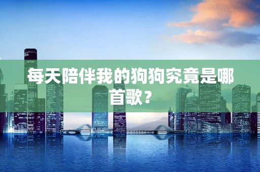 每天陪伴我的狗狗究竟是哪首歌？