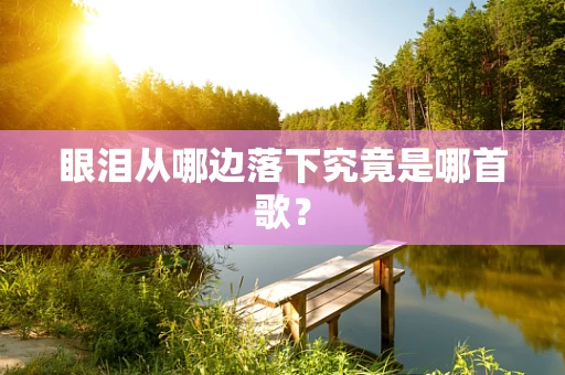 眼泪从哪边落下究竟是哪首歌？