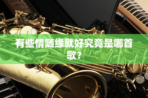 有些情随缘就好究竟是哪首歌？