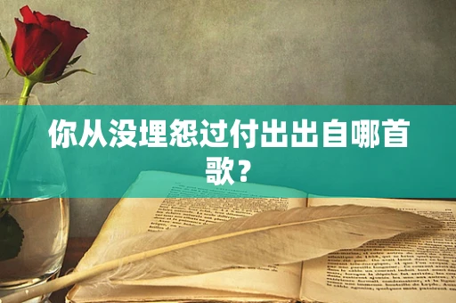 你从没埋怨过付出出自哪首歌？