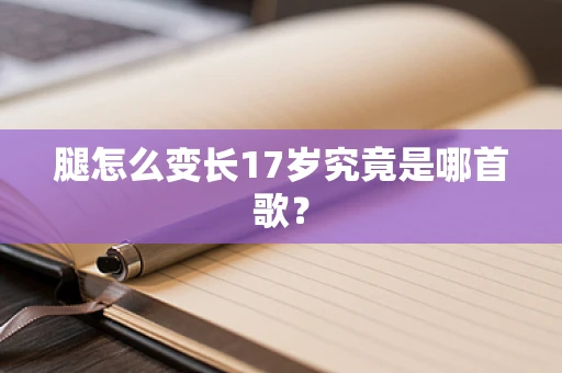 腿怎么变长17岁究竟是哪首歌？