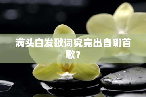 满头白发歌词究竟出自哪首歌？