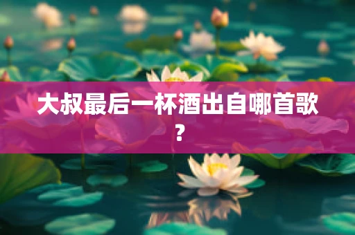 大叔最后一杯酒出自哪首歌？