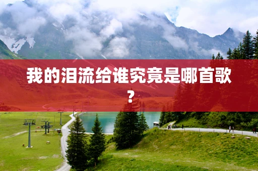 我的泪流给谁究竟是哪首歌？