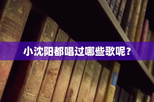 小沈阳都唱过哪些歌呢？