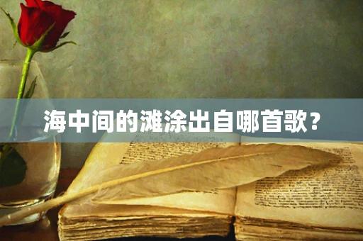 海中间的滩涂出自哪首歌？