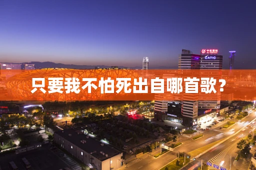 只要我不怕死出自哪首歌？