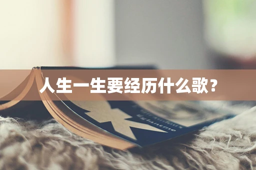 人生一生要经历什么歌？