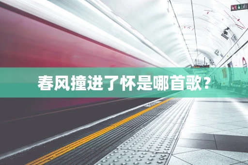 春风撞进了怀是哪首歌？