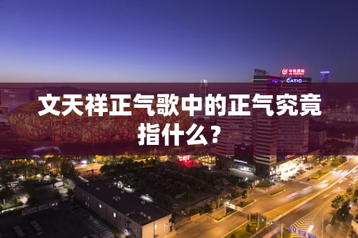 文天祥正气歌中的正气究竟指什么？