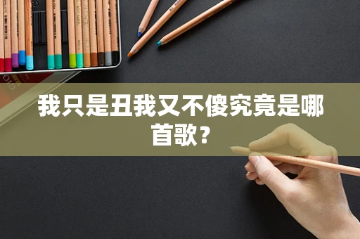 我只是丑我又不傻究竟是哪首歌？