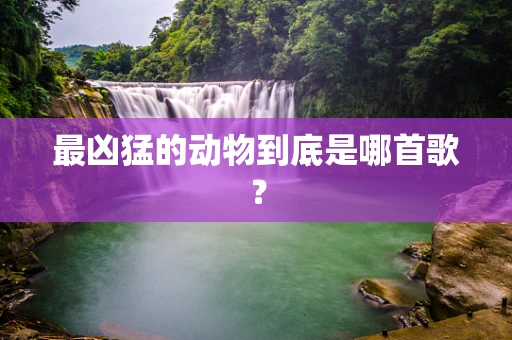 最凶猛的动物到底是哪首歌？