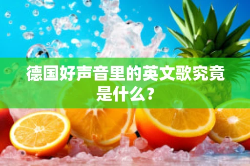 德国好声音里的英文歌究竟是什么？