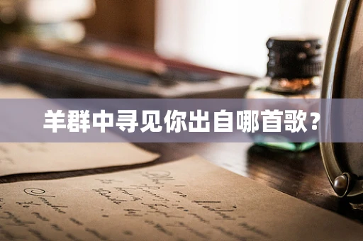 羊群中寻见你出自哪首歌？