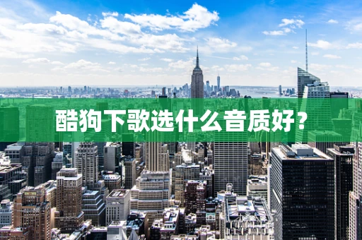 酷狗下歌选什么音质好？