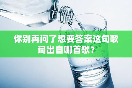 你别再问了想要答案这句歌词出自哪首歌？