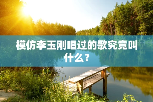 模仿李玉刚唱过的歌究竟叫什么？