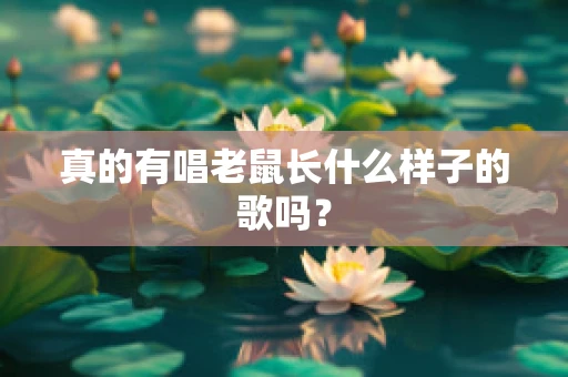 真的有唱老鼠长什么样子的歌吗？