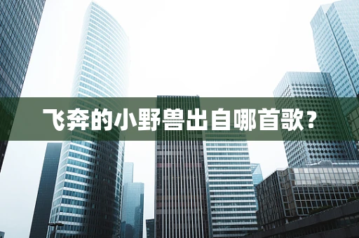 飞奔的小野兽出自哪首歌？