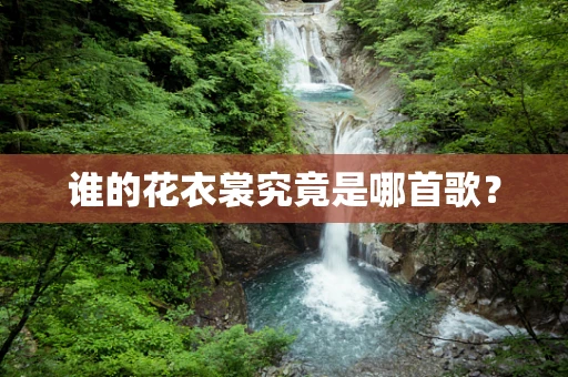 谁的花衣裳究竟是哪首歌？
