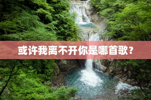 或许我离不开你是哪首歌？