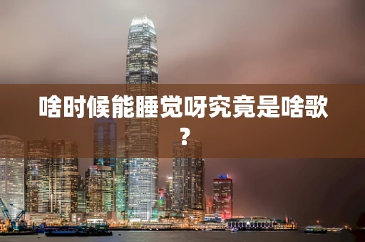 啥时候能睡觉呀究竟是啥歌？