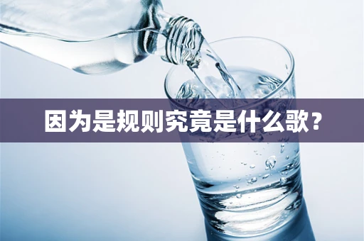因为是规则究竟是什么歌？