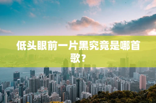 低头眼前一片黑究竟是哪首歌？