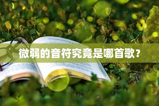微弱的音符究竟是哪首歌？