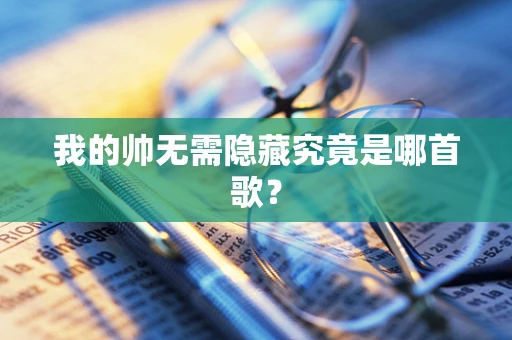 我的帅无需隐藏究竟是哪首歌？