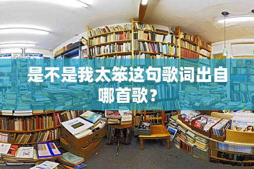 是不是我太笨这句歌词出自哪首歌？