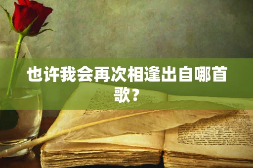 也许我会再次相逢出自哪首歌？