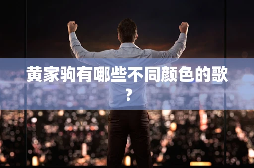 黄家驹有哪些不同颜色的歌？