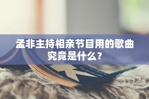 孟非主持相亲节目用的歌曲究竟是什么？