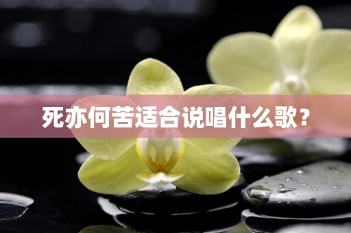 死亦何苦适合说唱什么歌？