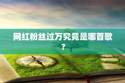 网红粉丝过万究竟是哪首歌？