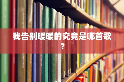 我告别暖暖的究竟是哪首歌？