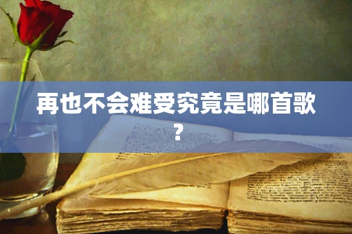 再也不会难受究竟是哪首歌？