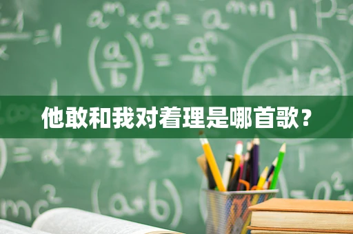 他敢和我对着理是哪首歌？