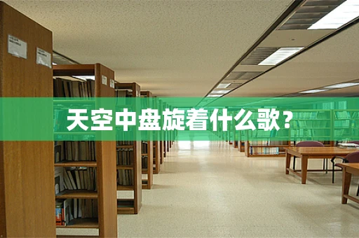 天空中盘旋着什么歌？