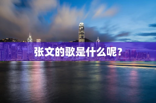 张文的歌是什么呢？